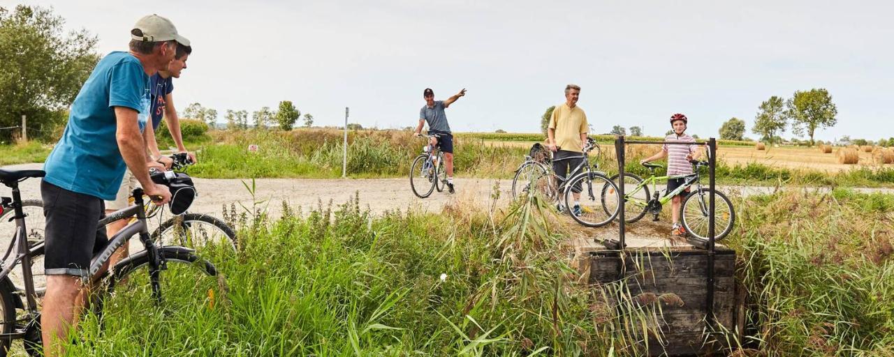 Le Clos De La Moriere Mont-Dol エクステリア 写真